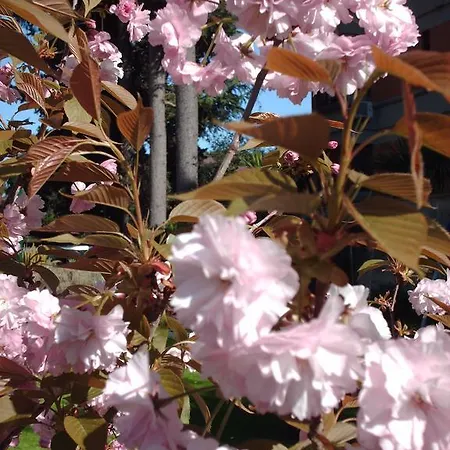 Bed and Breakfast Maria Cristina Brando Ρώμη